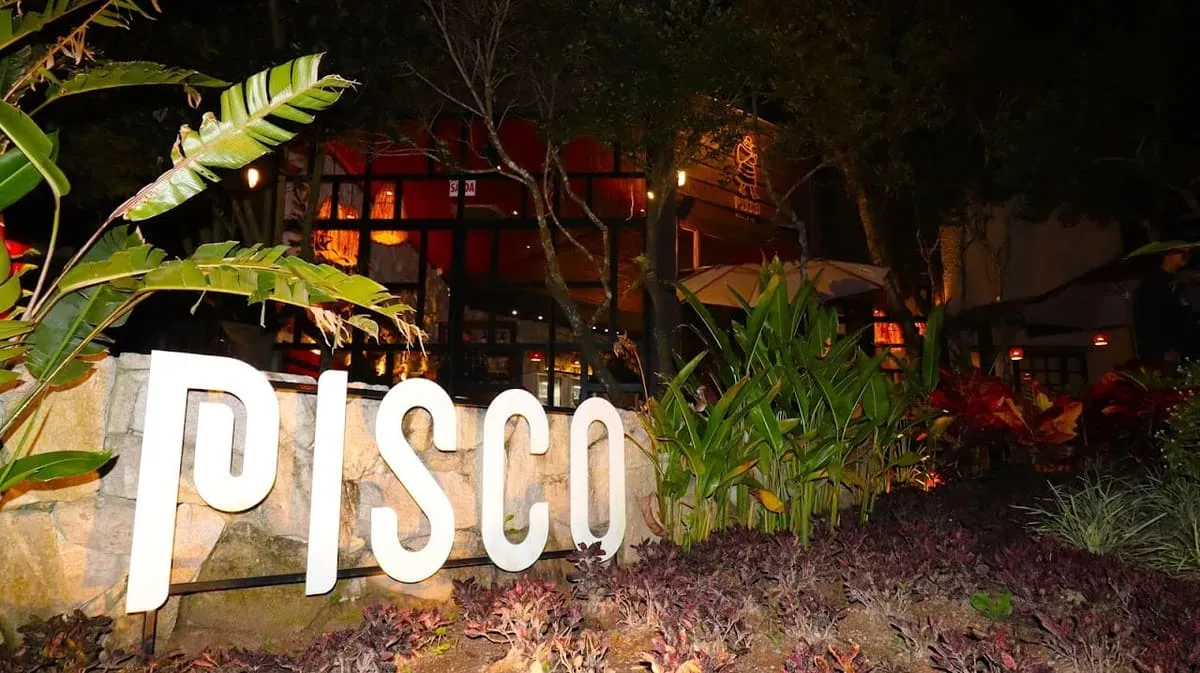 Prato do Pisco em Florianópolis