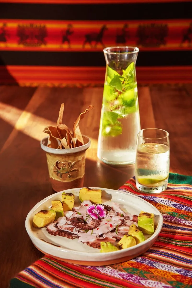 Prato do Pisco em Florianópolis