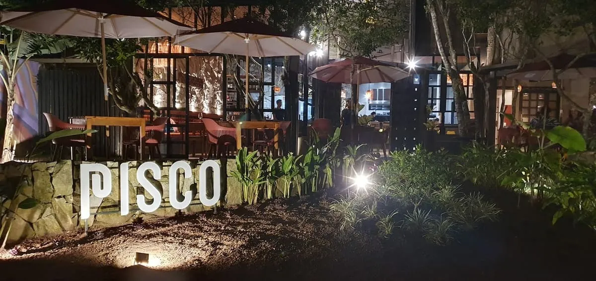 Prato do Pisco em Florianópolis