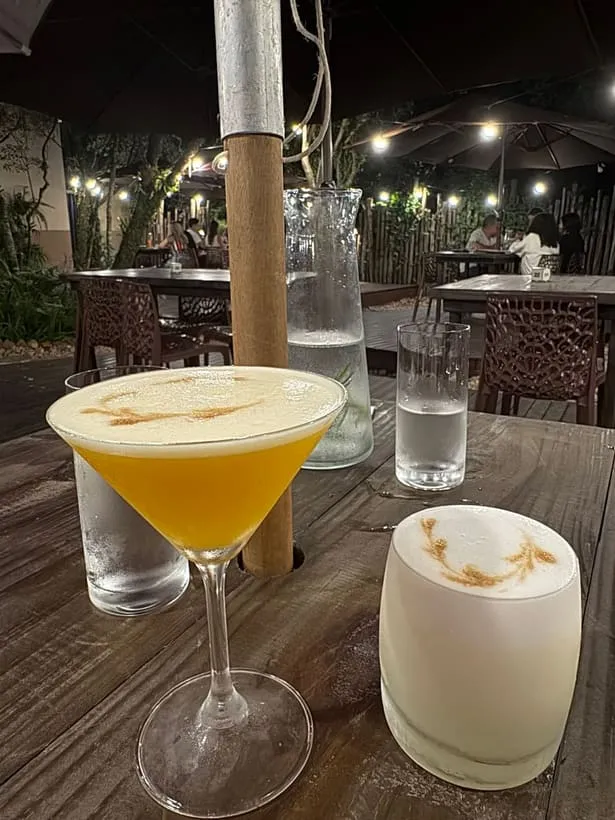 Prato do Pisco em Florianópolis